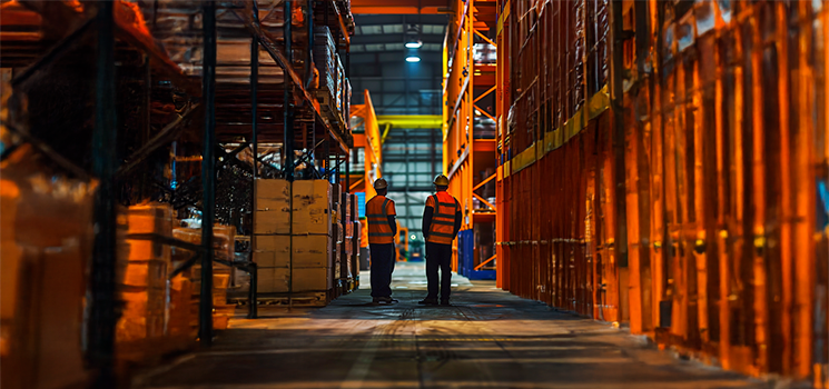 Trabajadores entre estantes 